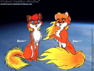 The two fire foxes, Sparks and Ember