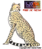 Amber the Cheetah from Big Cat Diary