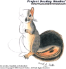 A picture that shows a drawing of a fox squirrel from start to finish