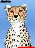 A close-up of Amber the Cheetah from Big Cat Diary