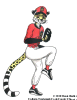 A Cook County Cheetahs baseball pitcher