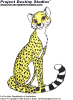 Meet Sahara the Cheetah!