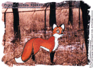 Velvet the vixen in a snow dusted forest preserve reflecting about her past and looking towards the future